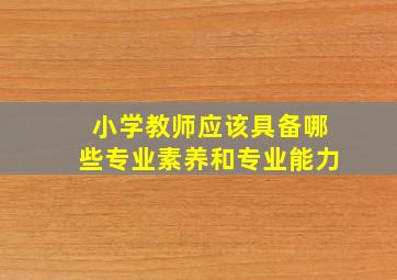 小学教师应该具备哪些专业素养和专业能力