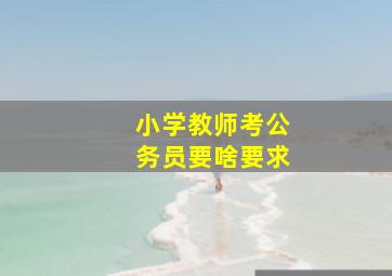 小学教师考公务员要啥要求