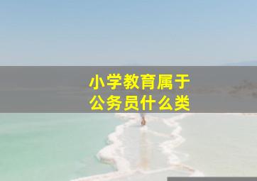 小学教育属于公务员什么类