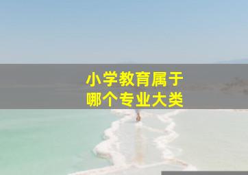 小学教育属于哪个专业大类