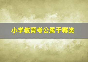 小学教育考公属于哪类