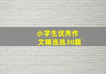 小学生优秀作文精选选30篇