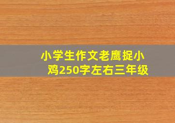 小学生作文老鹰捉小鸡250字左右三年级