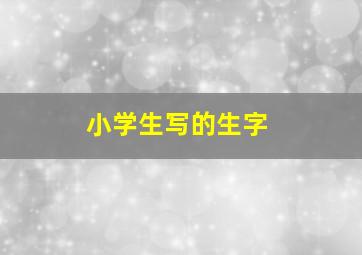 小学生写的生字