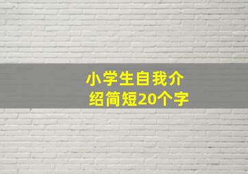 小学生自我介绍简短20个字