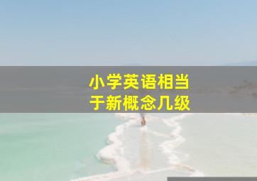 小学英语相当于新概念几级