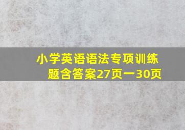 小学英语语法专项训练题含答案27页一30页