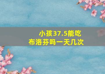 小孩37.5能吃布洛芬吗一天几次