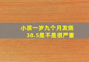 小孩一岁九个月发烧38.5是不是很严重