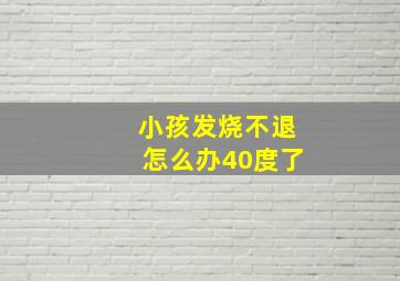 小孩发烧不退怎么办40度了