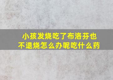 小孩发烧吃了布洛芬也不退烧怎么办呢吃什么药