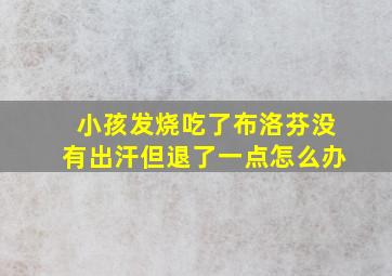 小孩发烧吃了布洛芬没有出汗但退了一点怎么办