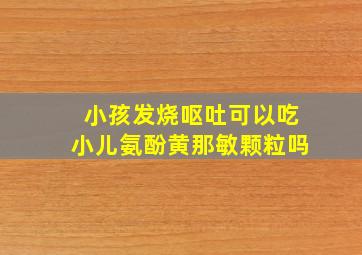 小孩发烧呕吐可以吃小儿氨酚黄那敏颗粒吗