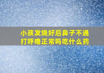 小孩发烧好后鼻子不通打呼噜正常吗吃什么药