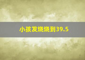 小孩发烧烧到39.5