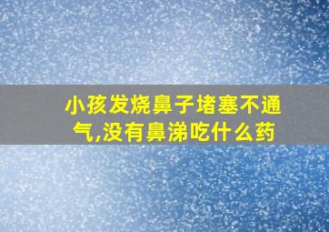 小孩发烧鼻子堵塞不通气,没有鼻涕吃什么药