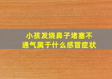 小孩发烧鼻子堵塞不通气属于什么感冒症状