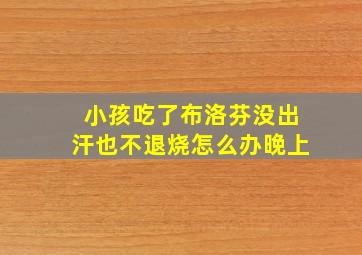 小孩吃了布洛芬没出汗也不退烧怎么办晚上