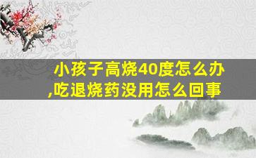 小孩子高烧40度怎么办,吃退烧药没用怎么回事