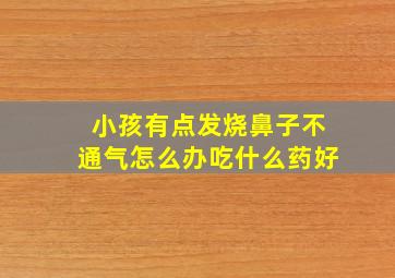 小孩有点发烧鼻子不通气怎么办吃什么药好