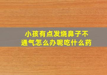 小孩有点发烧鼻子不通气怎么办呢吃什么药