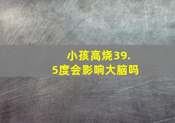 小孩高烧39.5度会影响大脑吗