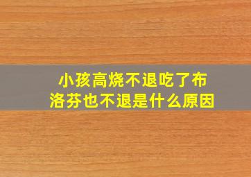 小孩高烧不退吃了布洛芬也不退是什么原因