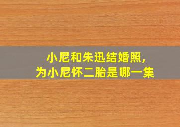 小尼和朱迅结婚照,为小尼怀二胎是哪一集