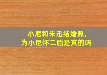 小尼和朱迅结婚照,为小尼怀二胎是真的吗