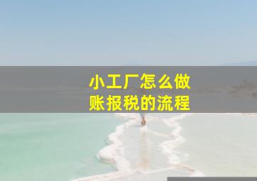 小工厂怎么做账报税的流程