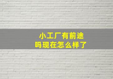 小工厂有前途吗现在怎么样了