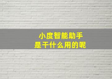 小度智能助手是干什么用的呢