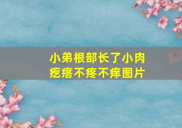 小弟根部长了小肉疙瘩不疼不痒图片