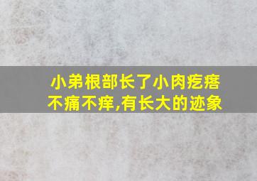 小弟根部长了小肉疙瘩不痛不痒,有长大的迹象