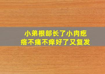 小弟根部长了小肉疙瘩不痛不痒好了又复发