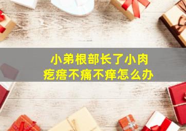 小弟根部长了小肉疙瘩不痛不痒怎么办