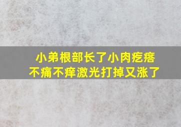 小弟根部长了小肉疙瘩不痛不痒激光打掉又涨了