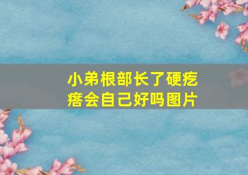 小弟根部长了硬疙瘩会自己好吗图片