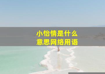 小怡情是什么意思网络用语