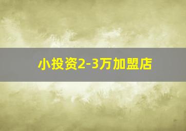 小投资2-3万加盟店