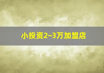 小投资2~3万加盟店