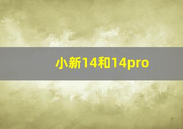 小新14和14pro