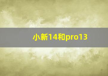 小新14和pro13