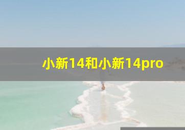 小新14和小新14pro