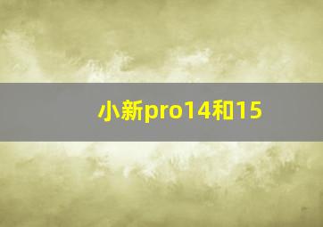 小新pro14和15