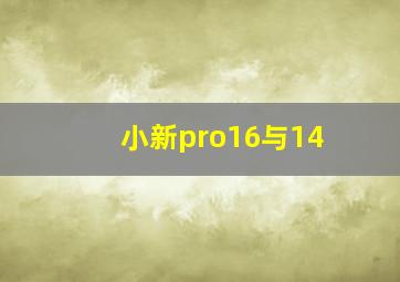 小新pro16与14