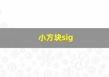 小方块sig