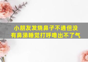 小朋友发烧鼻子不通但没有鼻涕睡觉打呼噜出不了气