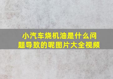 小汽车烧机油是什么问题导致的呢图片大全视频