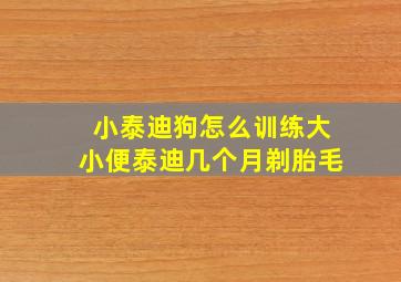 小泰迪狗怎么训练大小便泰迪几个月剃胎毛